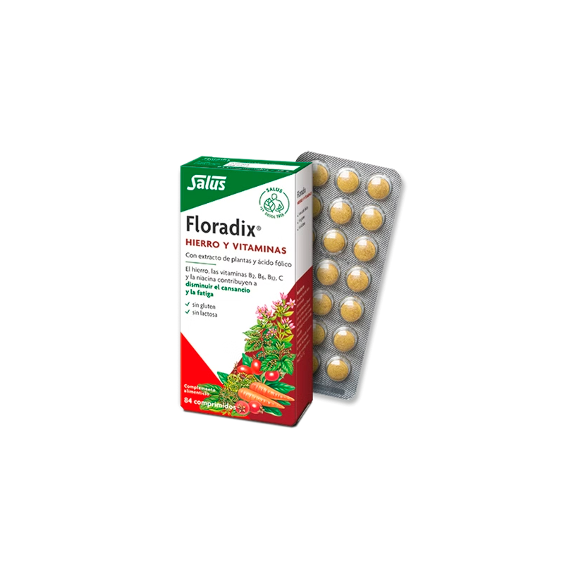 Floradix 84 Comprimidos Floradix 84 Comprimidos