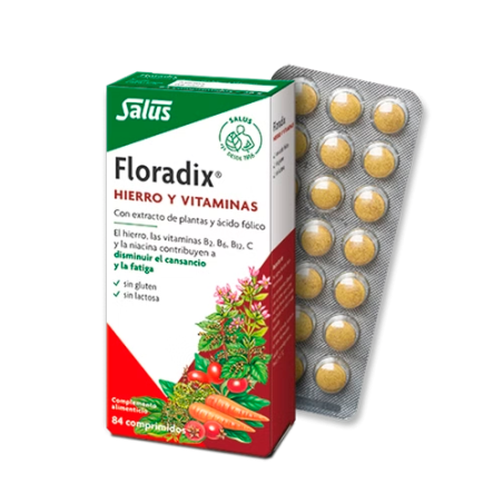 Floradix 84 Comprimidos