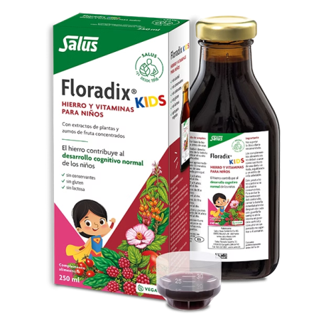 Floradix Kids 250ml