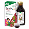 Floradix Kids 250ml
