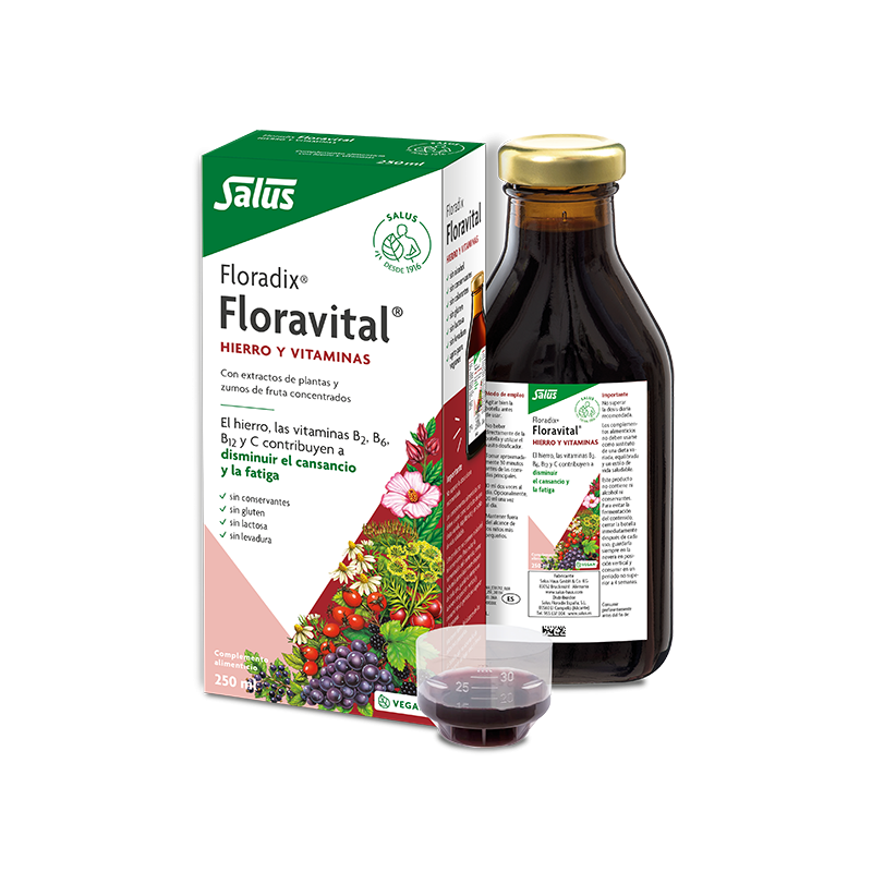 Floradix Floravital 250 ml