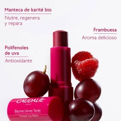 Caudalie Tratamiento para Labios con color