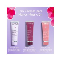 Caudalie Trío Cremas Nutritivas 30ml+30ml+30ml