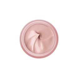 Vichy Neovadiol Rose Platinium Fortificante y Revitalizante Crema Rosada Día Piel Madura y Apagada 50ml