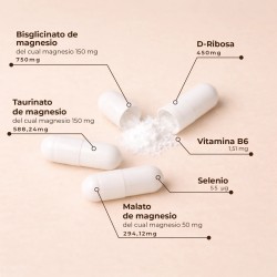 Kobho Trimagnesium 90 Cápsulas Bisglicinato Malato Taurinato de Magnesio