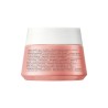 Vichy Neovadiol Rose Platinum Crema Noche 50ml