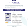 Webotanix Creatina Formula 175g 50 Dosis