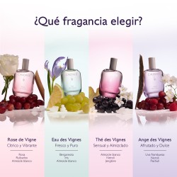 Caudalie Thé Des Vignes Agua fresca 100 ml