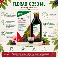 Floradix 250 ml