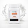 Urbyon Creatina Monohidrato Micronizada 200 Mesh 500g 166 Dosis