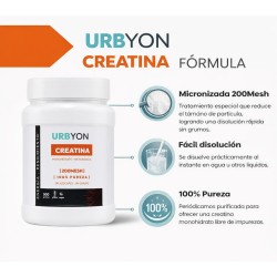 Urbyon Creatina Monohidrato Micronizada 200 Mesh 500g 166 Dosis