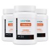 Urbyon Creatina Monohidrato Micronizada 200 Mesh 500g 166 Dosis