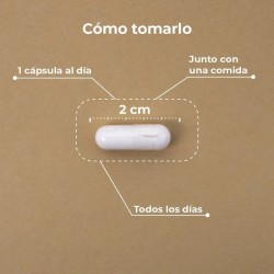 Kobho Liposomal Vitamina C 60 Cápsulas