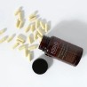 Kobho Trans Resveratrol Quercitin 60 Cápsulas