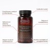 Kobho Trans Resveratrol Quercitin 60 Cápsulas