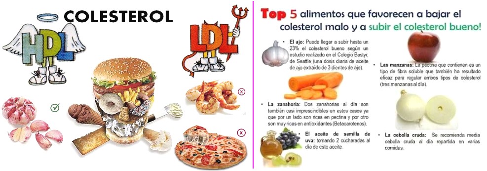 armolipid