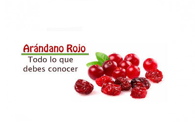 Arándano Rojo Americano, Solución eficaz