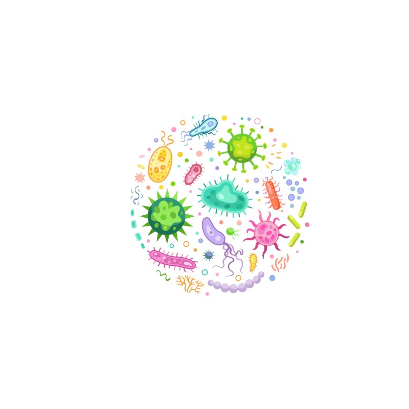 Miniatura de Vitaminas sistema inmune