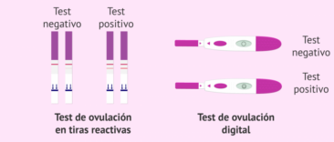 Tipos de test ovulacion